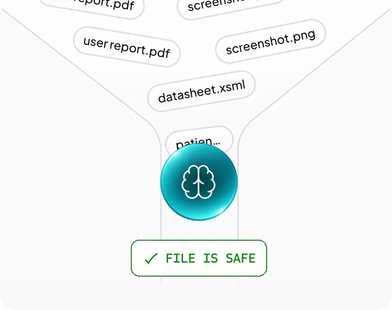 Financial Data & PII Detection